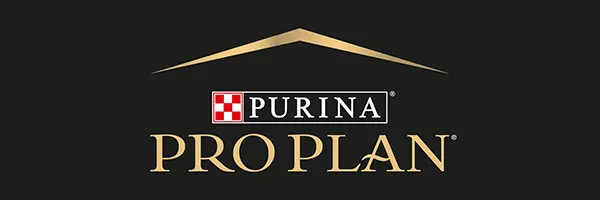 Pro Plan